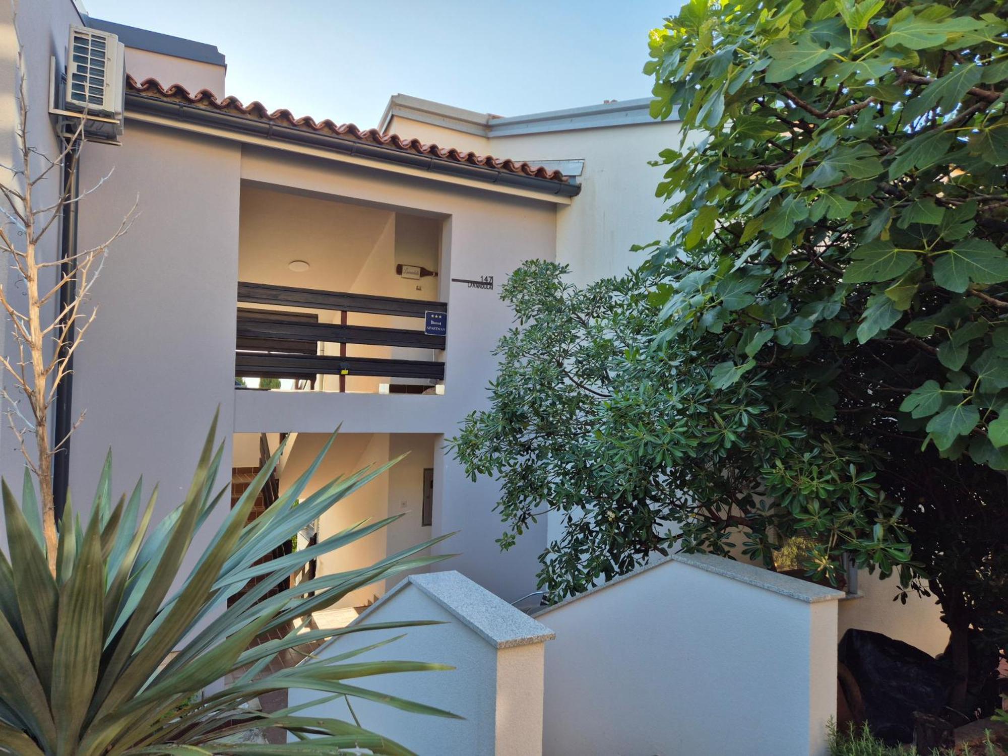 Lavandula Labin  Exterior photo